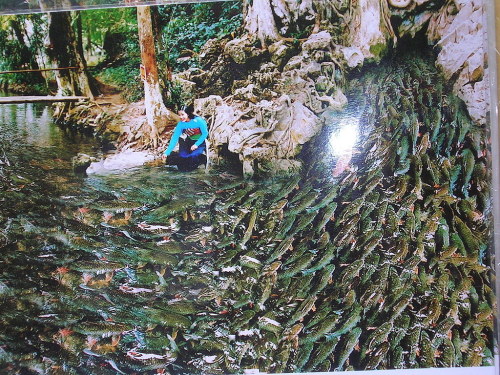 Vé máy bay đi Thanh Hóa